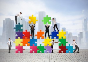 Build a new company